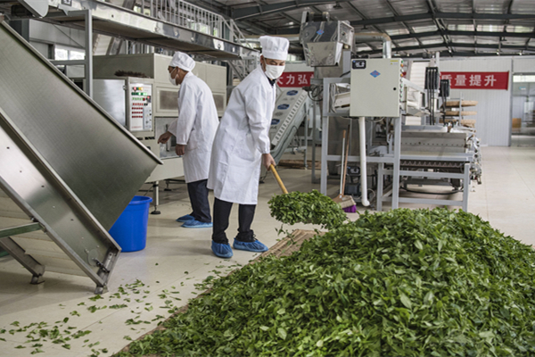 梅州制茶厂消防改造工程项目