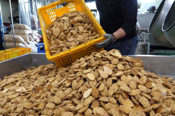 湛江饼干厂消防维保